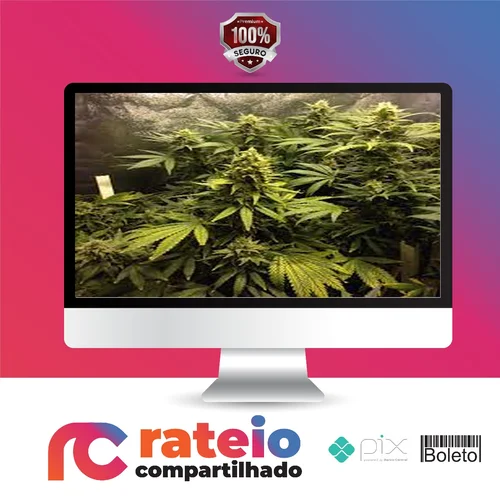 Cultivo Indoor de Plantas Medicinais - Jean Silva